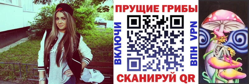 Галлюциногенные грибы GOLDEN TEACHER  наркотики  mega tor  Ленинск-Кузнецкий 
